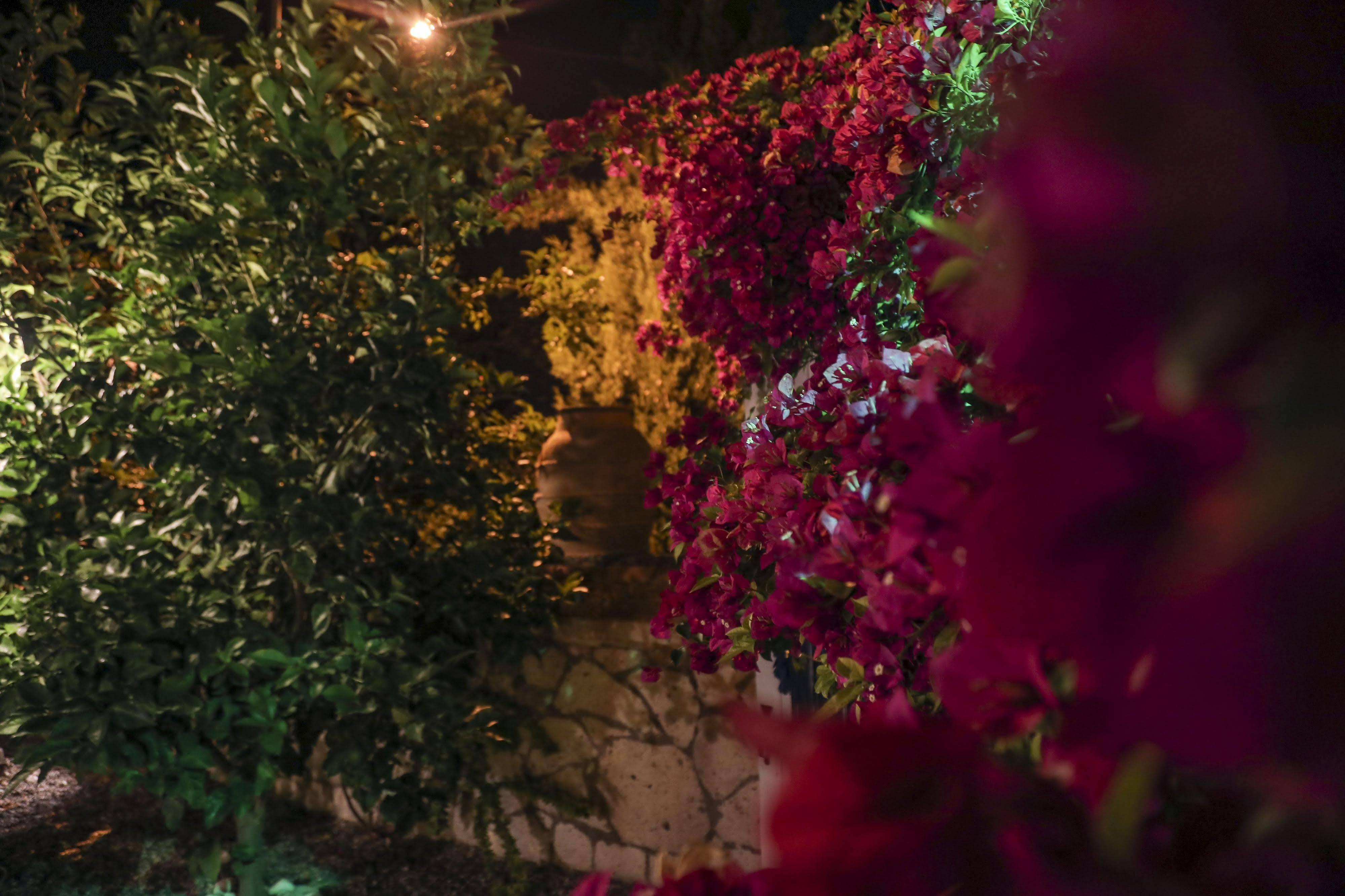 Sari Gelin Alacati Hotel エクステリア 写真