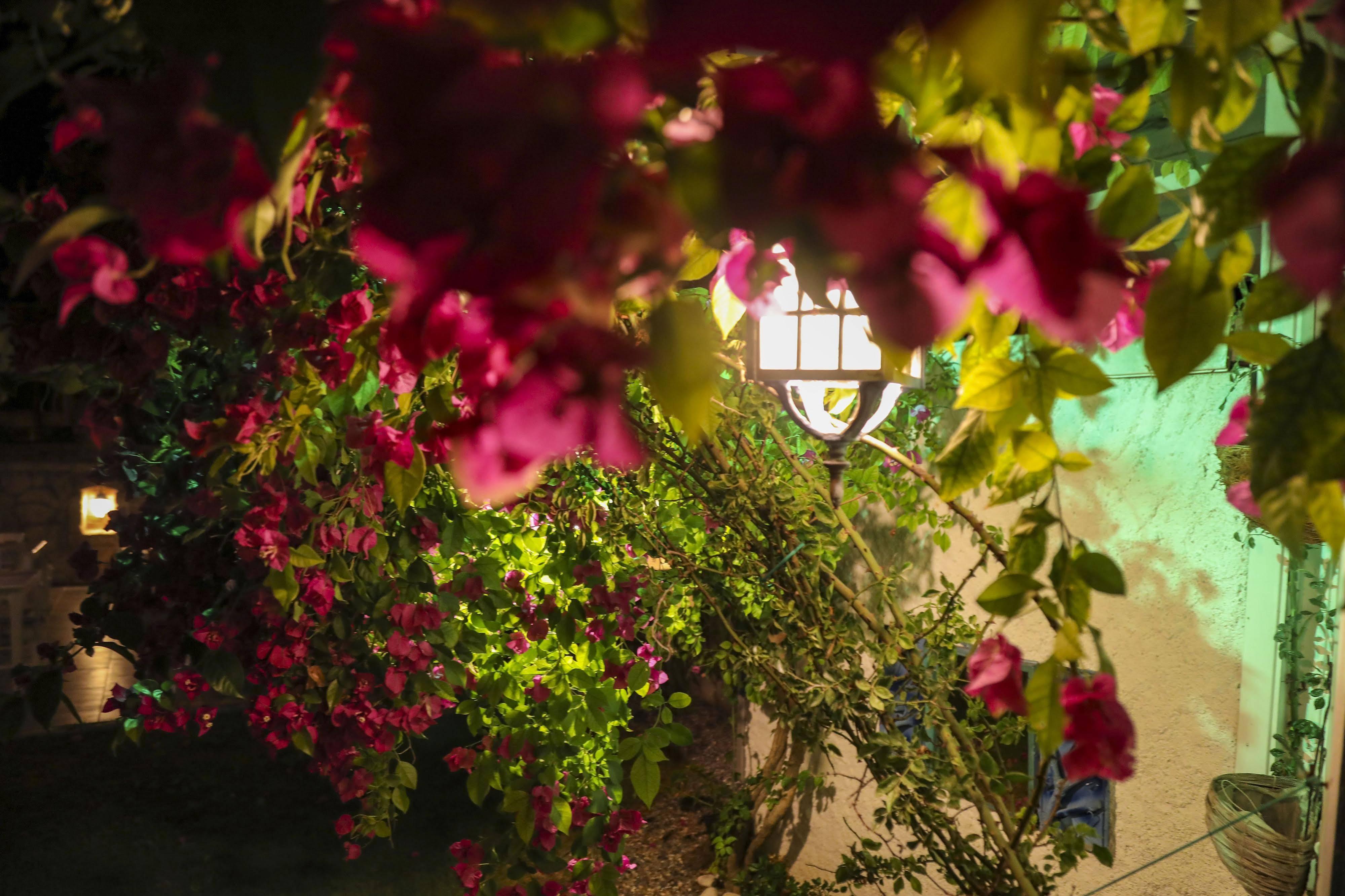 Sari Gelin Alacati Hotel エクステリア 写真